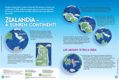 Zealandia – a sunken continent – Kiwi Conservation Club