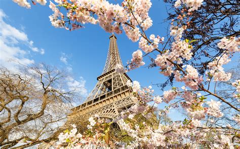 Wallpaper Eiffel Tower (75+ images)