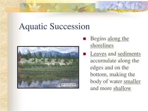 PPT - Aquatic Succession PowerPoint Presentation, free download - ID:5402814