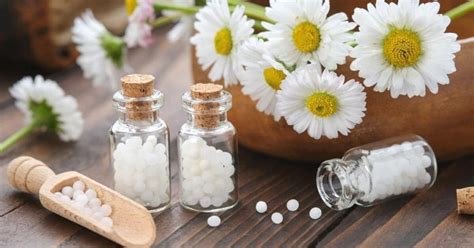 Homeopathic Remedies For Allergies: 11 Options For Fast Relief! - A ...