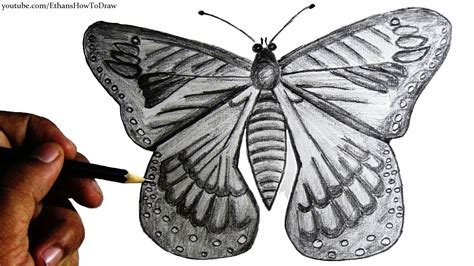 Butterfly Drawings In Pencil at PaintingValley.com | Explore collection of Butterfly Drawings In ...