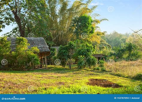 Typical Countryside Near Burma Border, Umphang District, Tak Province, Northwestern Thailand ...