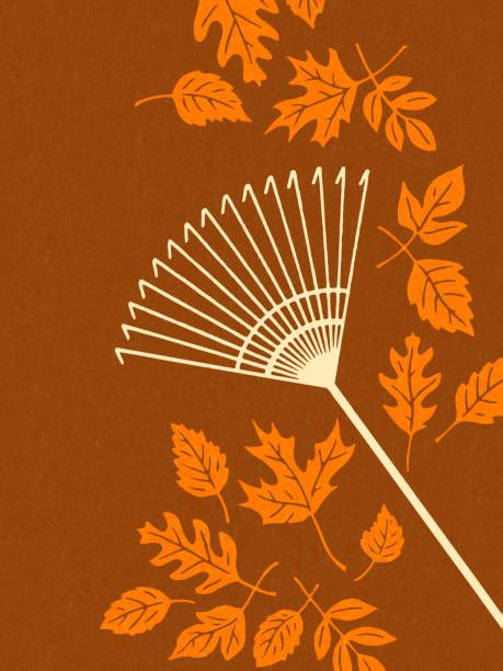 Royalty Free Raking Leaves Clip Art, Vector Images & Illustrations - iStock