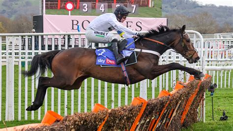 Cheltenham Festival tips: experts reveal their 2023 picks for Tuesday’s ...