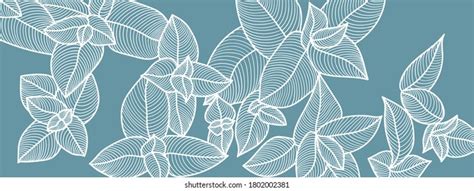 Leaf Line Art Background Vector Wallpaper Stock Vector (Royalty Free) 1802002381 | Shutterstock