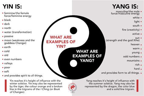 What the Yin Yang Symbol Means for Your Pet - TCVM Pet Supply