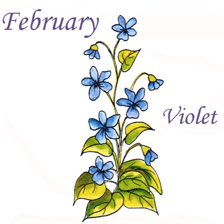 February clipart february flower, February february flower Transparent ...