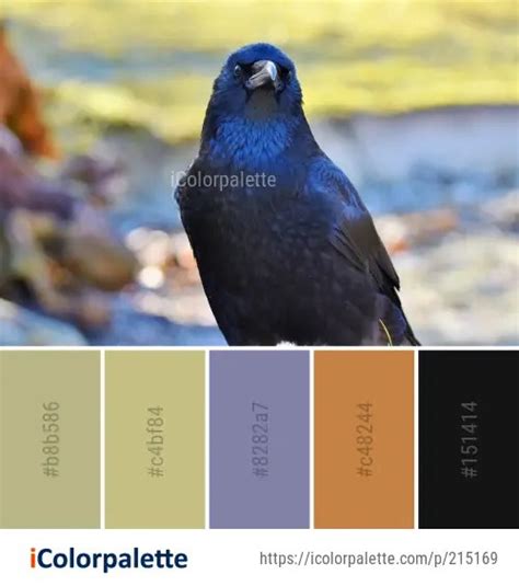 Color Palette Ideas from Bird American Crow Beak Image | iColorpalette