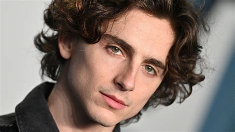 What You Don't Know About Timothée Chalamet