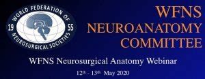 WFNS Neurosurgical Anatomy Webinar – Neurosurgery Lounge