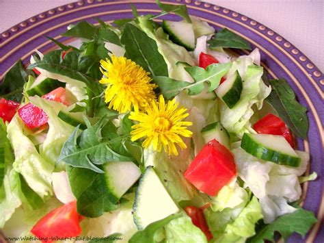 Watching What I Eat: Cooking with Dandelions ~ Fritters, pancakes, crepes & salads