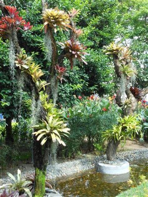 Botanical Garden of Guayaquil - 2021 All You Need to Know BEFORE You Go | Tours & Tickets (with ...