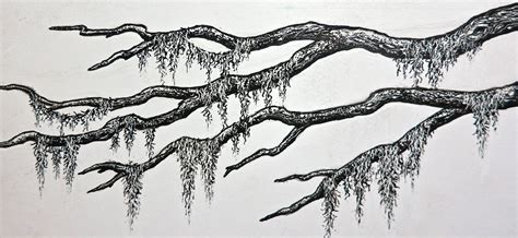 spanish moss tree drawing - Jolie Mcconnell