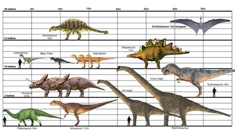 ¡Jindetrés, sal!: El Metabolismo de los Titanes