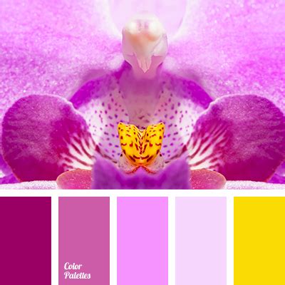 Orchid Color