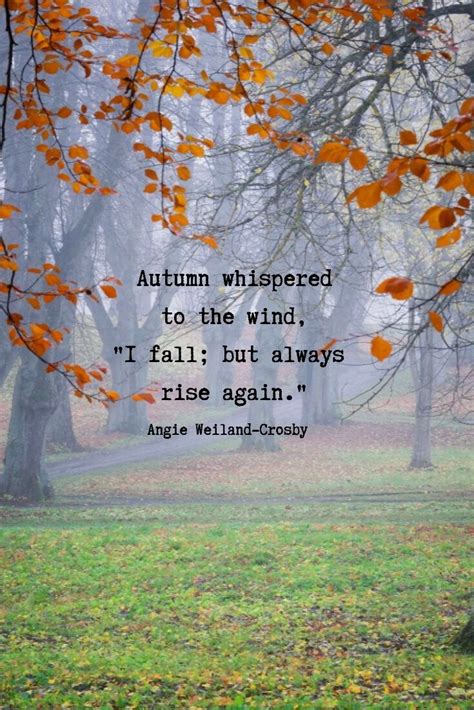 50+ Autumn Quotes & Fall Quotes and Captions to Enchant and Deepen the Soul! [Updated for 2020 ...