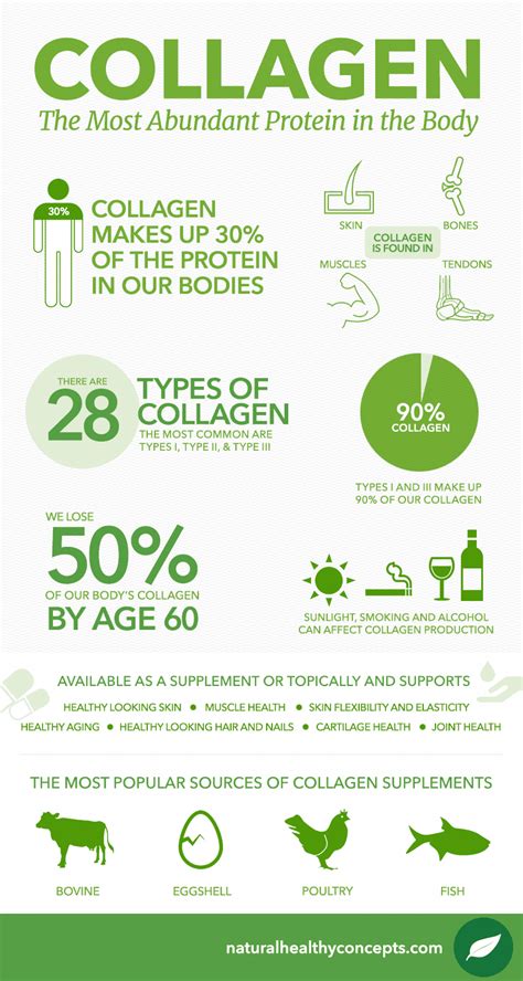 What is Collagen