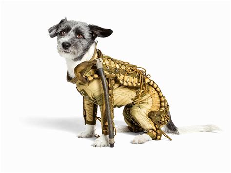 Give Your Dog the Ultimate Geeky Present: the Dog Space Suit