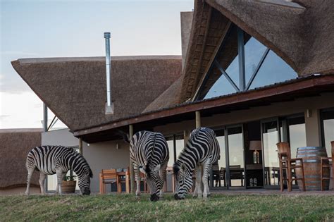 J-Bay Zebra Lodge - HomeRentalia