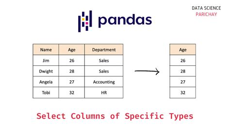 Pandas - Select Columns of a Specific Type - Data Science Parichay