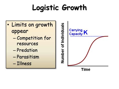 PPT - Populations and Growth PowerPoint Presentation, free download - ID:858160