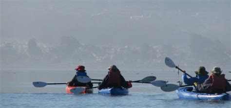 Morro Bay California Guided Kayak Tours