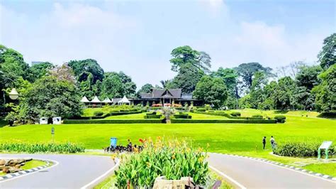 5 Spot Menarik di Tempat Wisata Kebun Raya Bogor, Cocok Buat Healing - Sukabumi Update