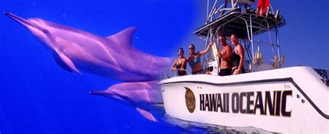 Hawaii Oceanic - Dolphin Dreaming Wild Dolphin Tour - Hawaii Discount