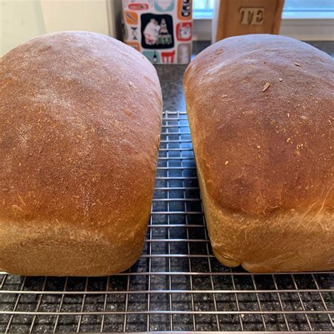 Clover's Recipe Box: Shredded Wheat Bread Wheat Bread Recipe, Wheat ...