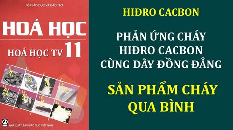 Hoá học 11 | Phản ứng cháy hiđro cacbon cùng dãy đồng đẳng | Hấp thụ ...