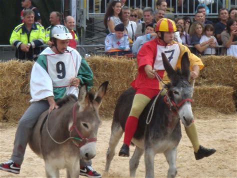 “And They’re Off!” - The Donkey Races of Alba • Travel Letter