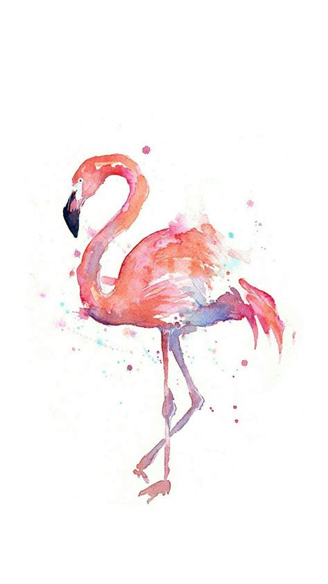 Watercolor Flamingo Wallpapers - Top Free Watercolor Flamingo ...