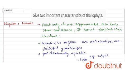 Give two important characteristics of thallophyta.