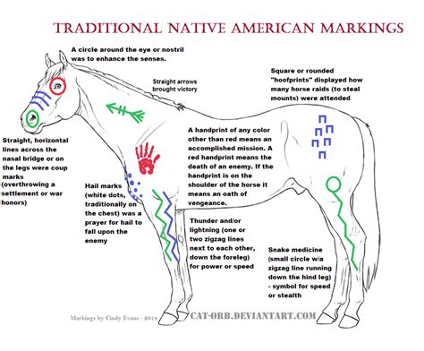 Traditional Native American Horse Markings