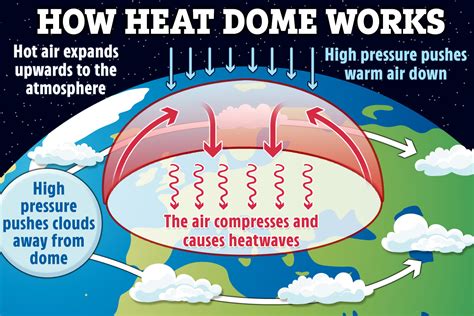 Heat dome kills at least 500 people across Canada, Oregon and Washington as temps reach 118F ...