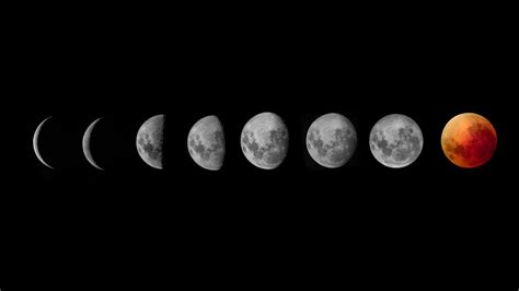 Moon Phases against a Black Background · Free Stock Photo