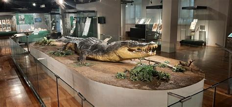 The Sad Tale of Lolong (National Museum of Natural History, Manila) – B.L.A.S.T. – Live Life to ...