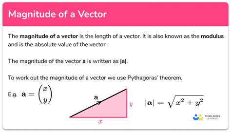 Magnitude Of A Vector - GCSE Maths - Steps, Examples & Worksheet