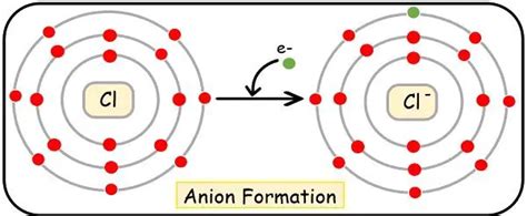 Difference Between Cation and Anion (with Comparison Chart) - Bio ...