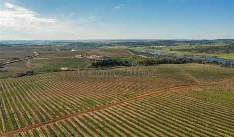 Mediterranean Agriculture stock image. Image of fields - 47507103