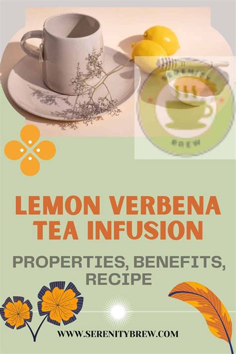 Lemon Verbena tea infusion: properties, benefits, recipe - Serenity Brew