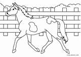 Horse Coloring sketch template