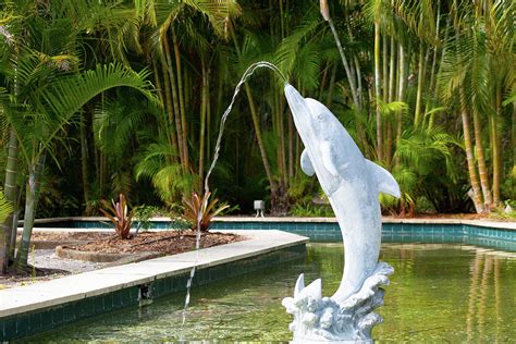 Florida Dolphin Fountain Pyrography by Randall Photoshoot