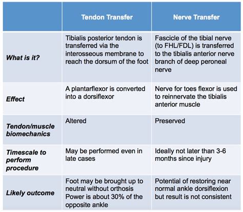 Common peroneal nerve palsy