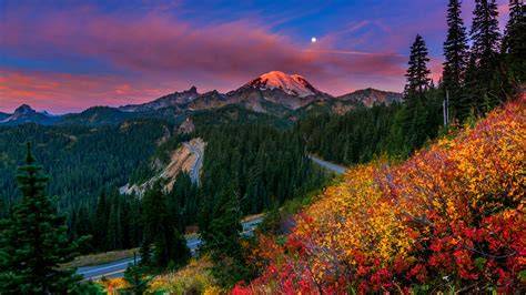 Beautiful Scenery View Of Mountains Peak And Colorful Flowers Plants ...