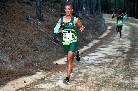 The Spar Knysna Forest Marathon - 38th Edition | Entry Ninja – the best ...