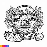 Fruit Basket Line Art Illustration For The coloring Book Fruits  sketch template