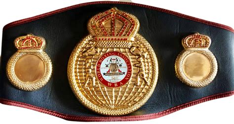 Floyd Mayweather Jr. Signed Full-Size WBA Championship Belt (Beckett) – iconsofboxing.com