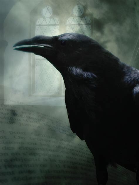 Edgar Allen Poe - The Raven | "Then this ebony bird beguilin… | Flickr