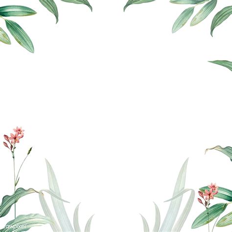 Green botanical leaves background design | free image by rawpixel.com ...